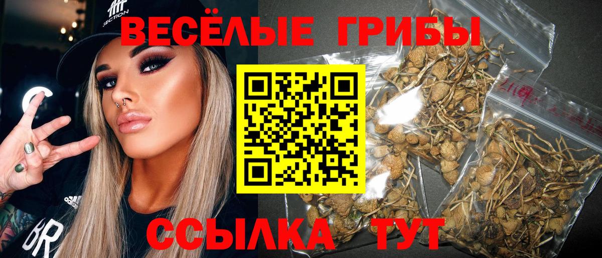 Галлюциногенные грибы прущие грибы Назарово