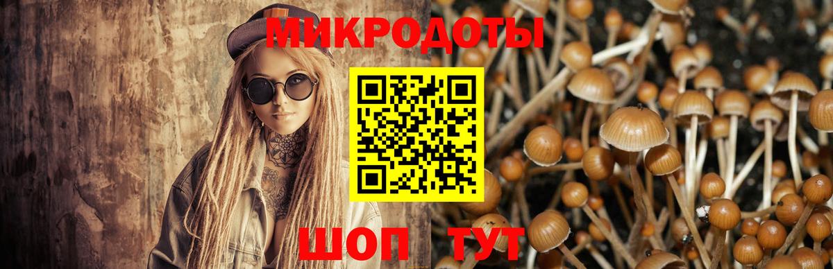 Назарово  Галлюциногенные грибы MAGIC MUSHROOMS  Вход с VPN 